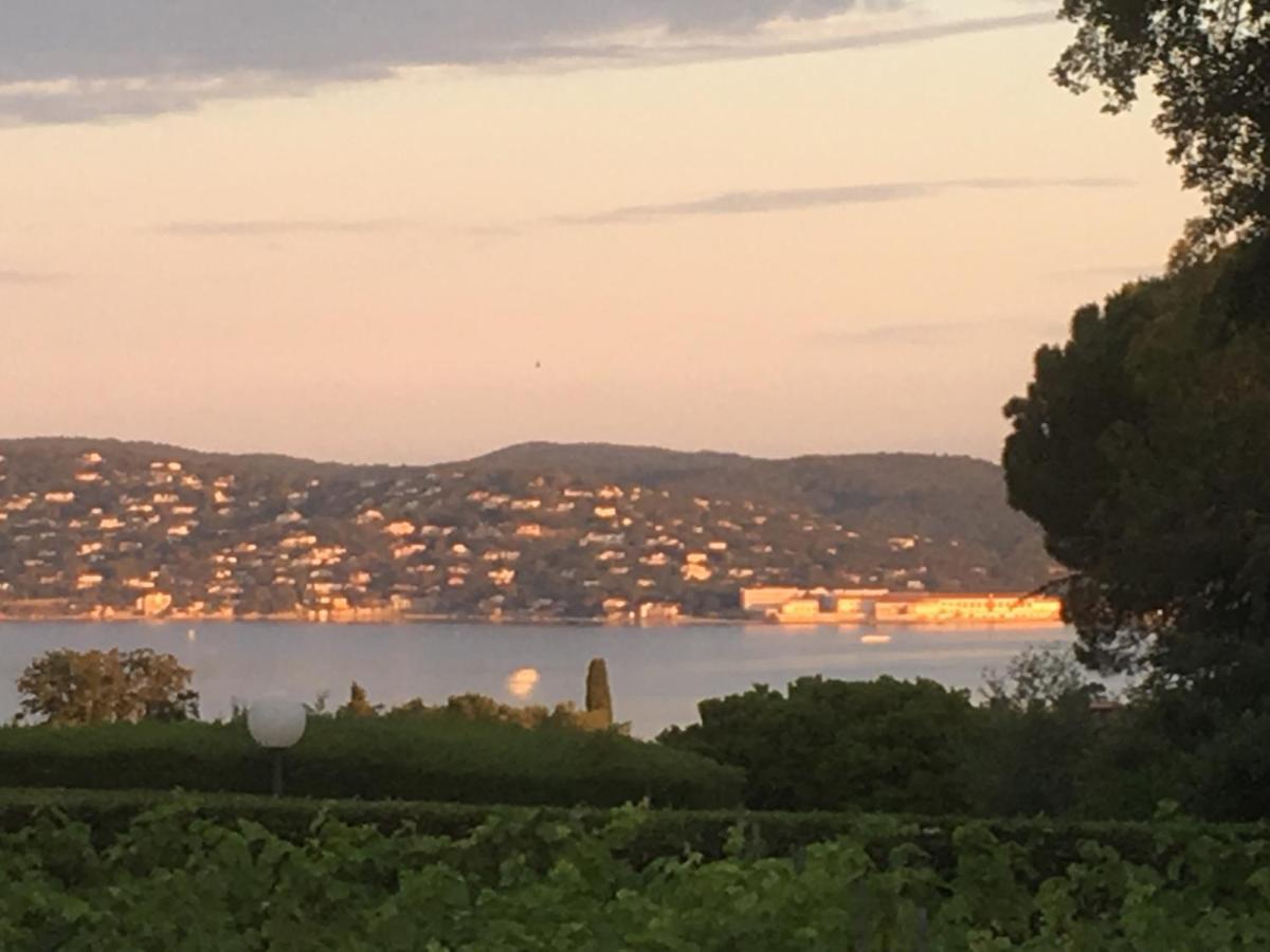 Lovely "Provence" Villa With Sea View, Private Heated Pool, Airco And Beautiful Garden Grimaud Exterior foto